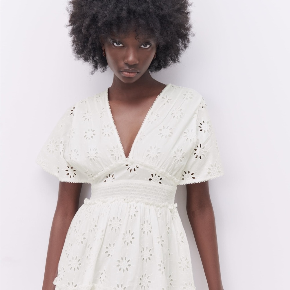 Zara Openwork Embroidered Mini Dress - Picture 2 of 8